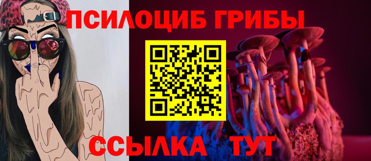 Псилоцибиновые грибы Psilocybe Вязьма