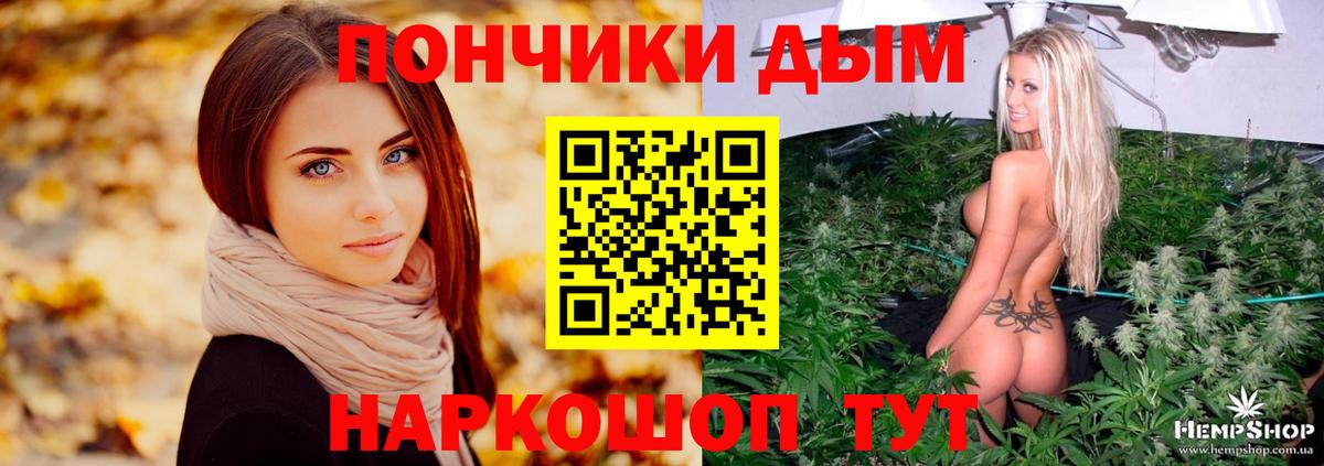 Конопля сатива Вязьма